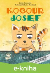 Kocour Josef