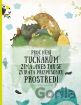 Proč není tučňákům zima
