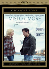 Místo u moře (DVD)