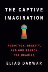The Captive Imagination