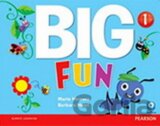 Big Fun 1 Picture Cards