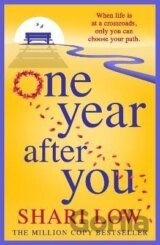 One Year After You