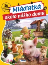 Mláďatká okolo nášho domu