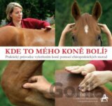Kde to mého koně bolí?