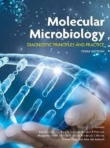 Molecular Microbiology