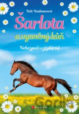 Šarlota a vysněný kůň: Nebezpečí v jízdárně