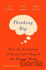 Thinking Big