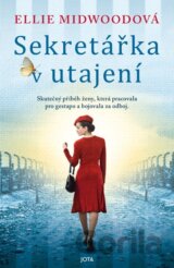 Sekretářka v utajení