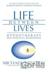 Life Between Lives
