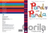 Pandy the Panda - 3 Flashcards
