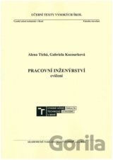 Pracovní inženýrství