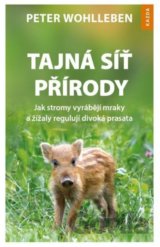 Tajná síť přírody