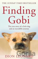 Finding Gobi