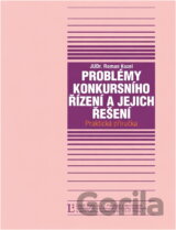 Problémy konkursního řízení a jejich řešení