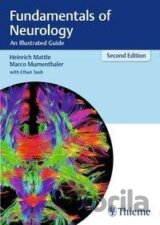 Fundamentals of Neurology