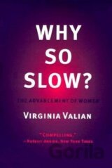 Why So Slow?