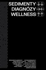 Sedimenty diagnózy wellness