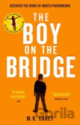 The Boy on the Bridge