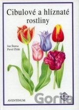 Cibulové a hlíznaté rostliny