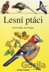 Lesní ptáci