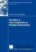 The Effect of Team Composition on Strategic Sensemaking