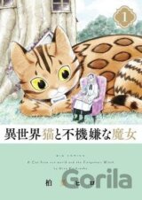 A Cat from Our World and the Forgotten Witch 1
