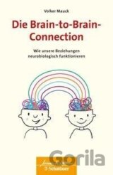 Die Brain-to-Brain-Connection
