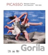 Picasso