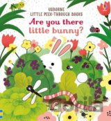 Are you there Little Bunny?