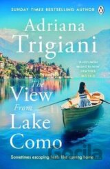 View from Lake Como