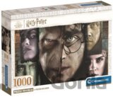 Puzzle Harry Potter: Harry/Voldemort