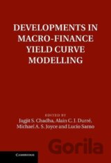 Developments in Macro-Finance Yield Curve Modelling