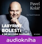 Labyrint bolesti (audiokniha)