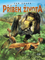 Příběh života