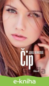 Čip