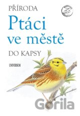 Ptáci ve městě