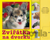 Zvířátka na dvorku