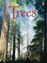 Trees: Usborne Beginners
