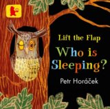 Who Is Sleeping