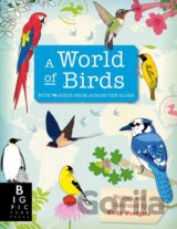 A World of Birds
