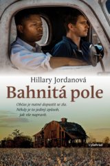 Bahnitá pole