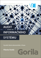 Audit informačního systému