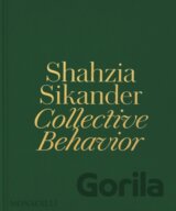 Shahzia Sikander