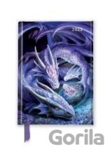 Anne Stokes: Welcome Hatchling 2025 Luxury Pocket Diary Planner - Week to View