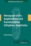 Monograph of the Amphisiellidae and Trachelostylidae (Ciliophora, Hypotricha)