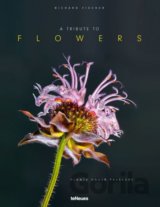Tribute to Flowers