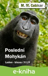 Poslední Mohykán