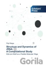Structure and Dynamics of rRNA: A Computational Study