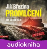 Promlčení