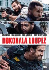 Dokonalá loupež (DVD)